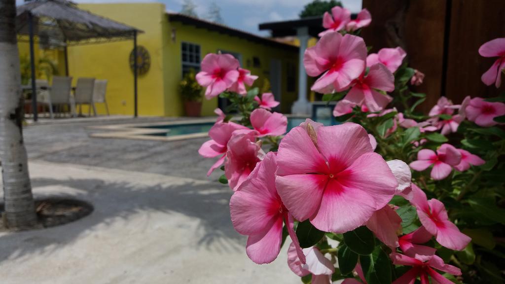 Solar Villa Oranjestad Eksteriør billede